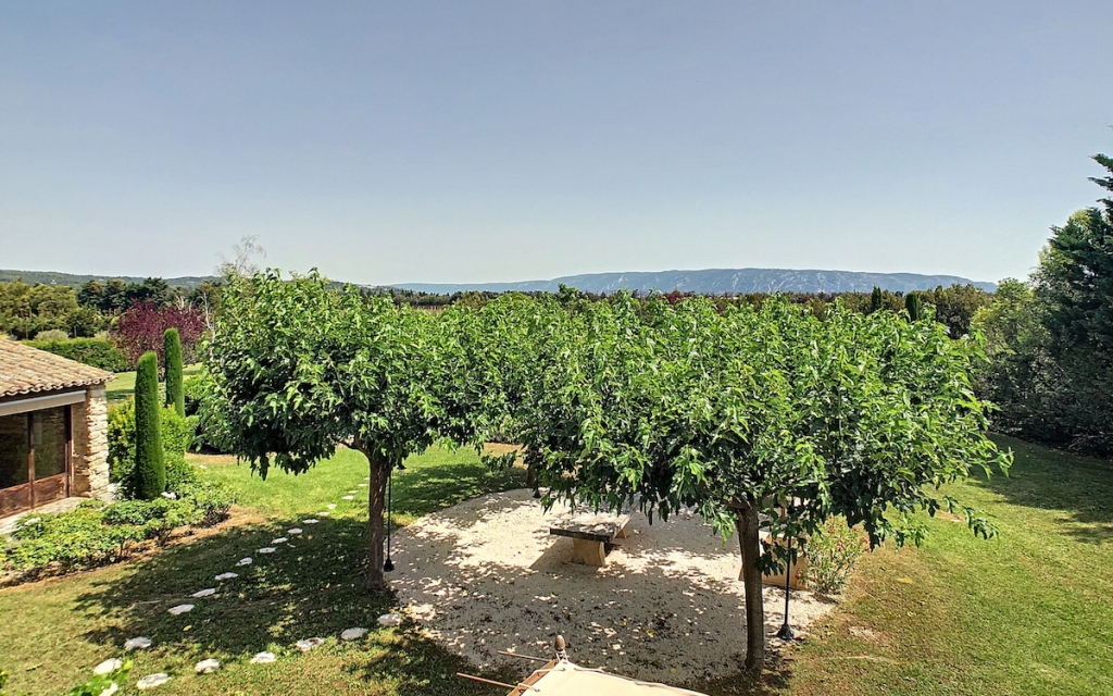 realestate-provence-yard